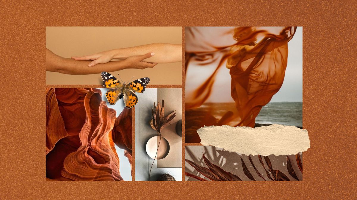 Metamorfose &mdash; moodboard and visual territory